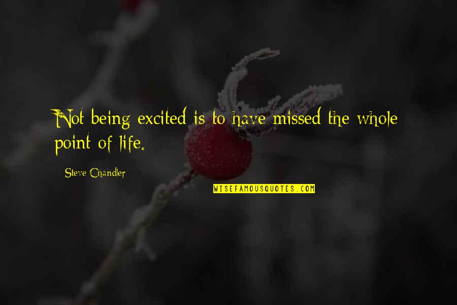 Rise Against Vegetarian Quotes By Steve Chandler: Not being excited is to have missed the Rise Against Vegetarian Quotes By Steve Chandler: Not being excited is to have missed the