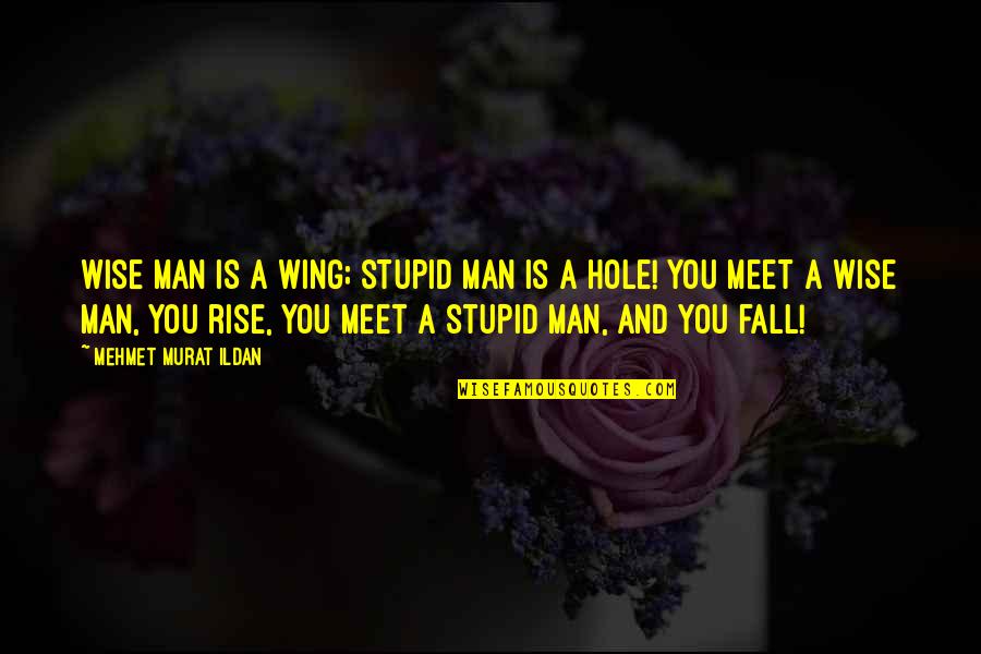 Rise And Fall Quotes By Mehmet Murat Ildan: Wise man is a wing; stupid man is