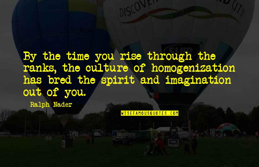 Rise Quotes By Ralph Nader: By the time you rise through the ranks,