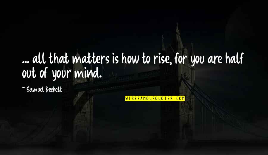 Rise Quotes By Samuel Beckett: ... all that matters is how to rise,