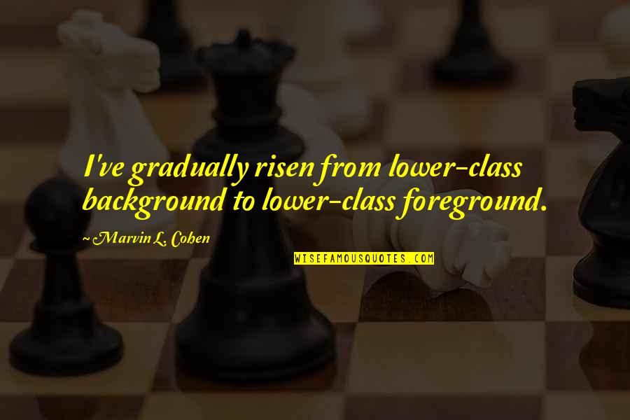 Risen 2 Quotes By Marvin L. Cohen: I've gradually risen from lower-class background to lower-class