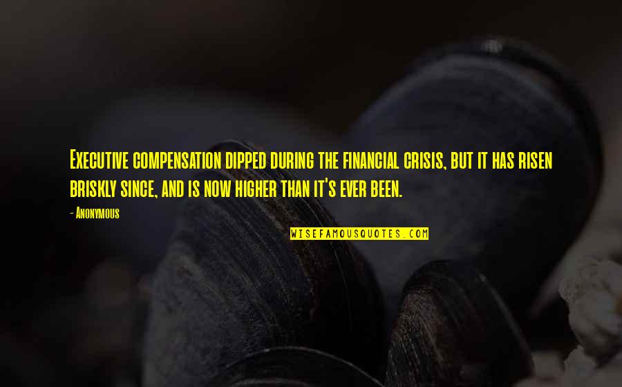 Risen Quotes By Anonymous: Executive compensation dipped during the financial crisis, but