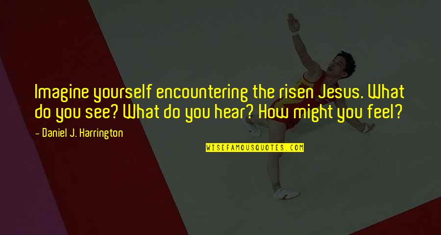 Risen Quotes By Daniel J. Harrington: Imagine yourself encountering the risen Jesus. What do