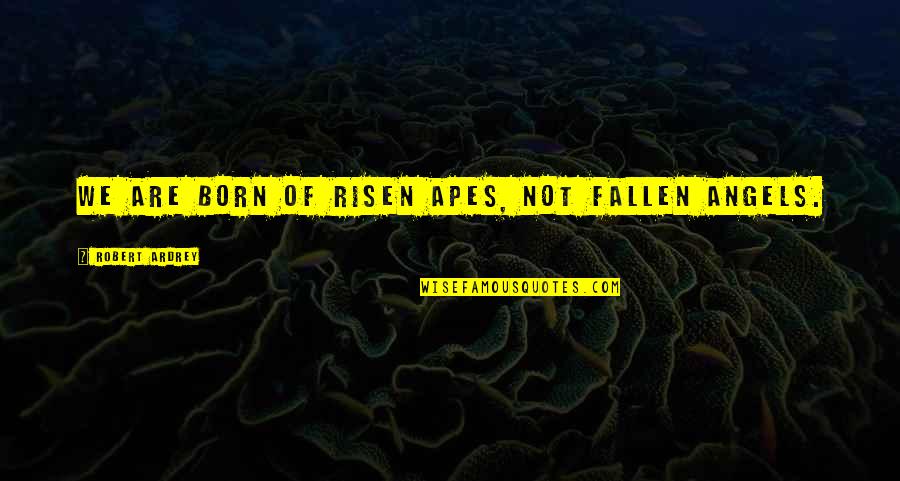 Risen Quotes By Robert Ardrey: We are born of risen apes, not fallen