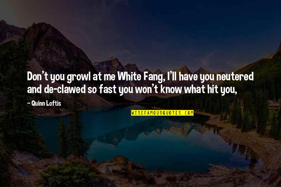 Rishikesh Tour Quotes By Quinn Loftis: Don't you growl at me White Fang, I'll Rishikesh Tour Quotes By Quinn Loftis: Don't you growl at me White Fang, I'll