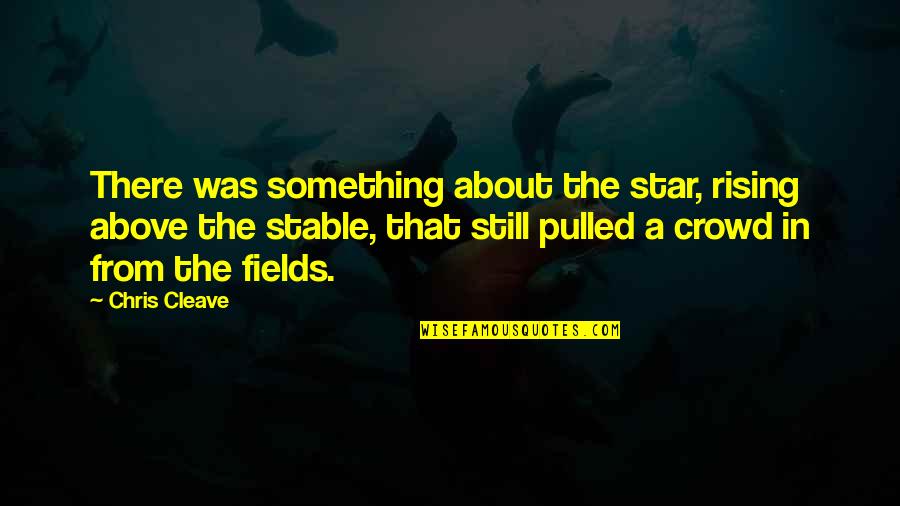 Rising Above Quotes By Chris Cleave: There was something about the star, rising above