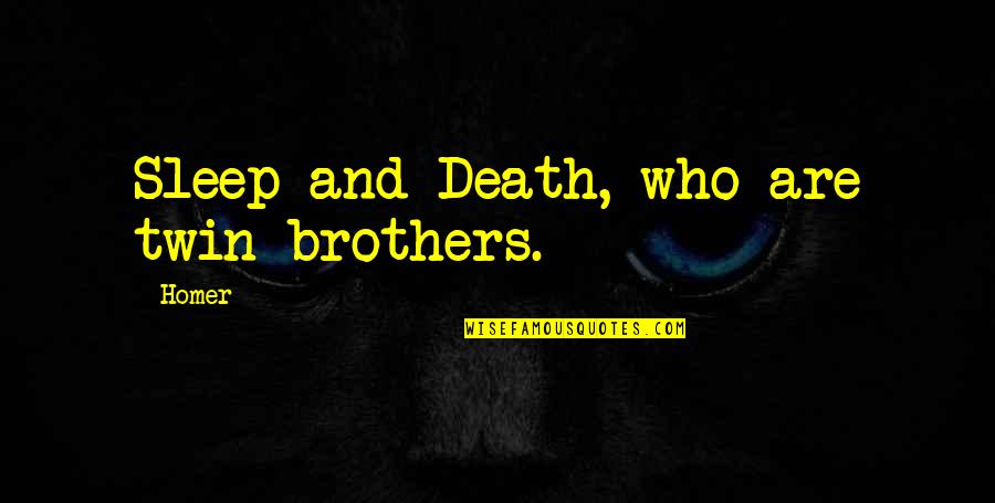 Rising Against All Odds Quotes By Homer: Sleep and Death, who are twin brothers.