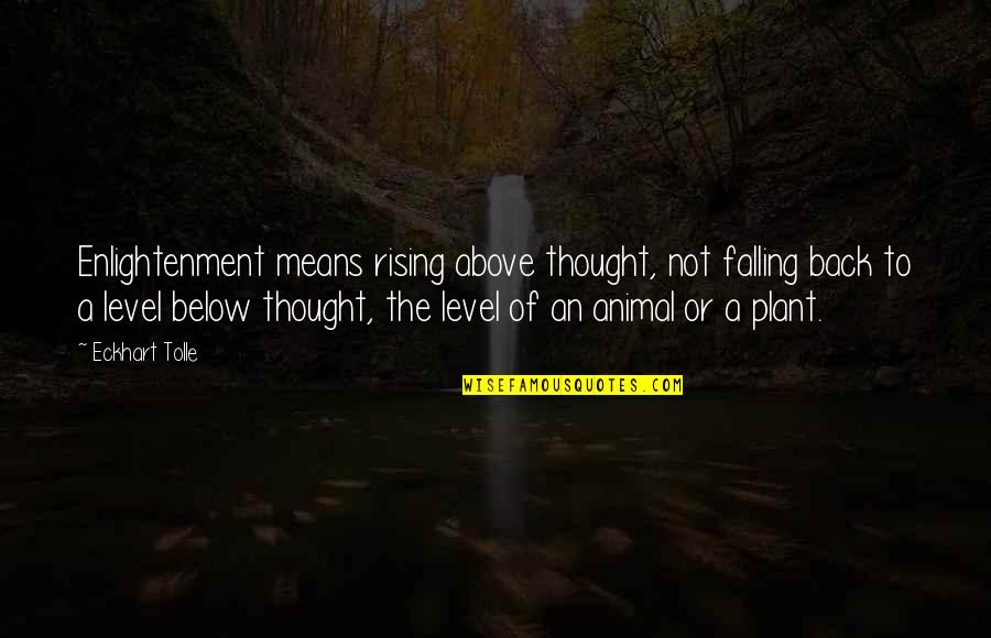 Rising Back Up Quotes By Eckhart Tolle: Enlightenment means rising above thought, not falling back