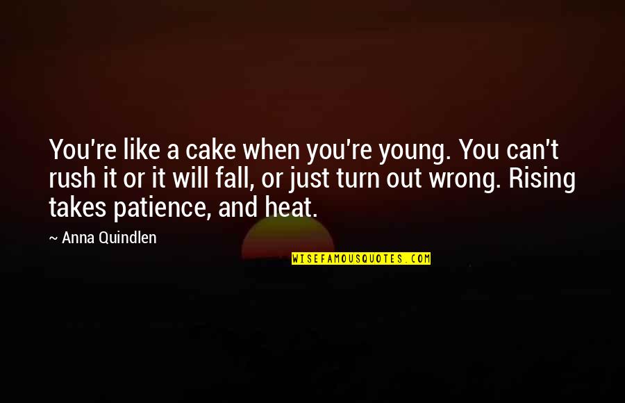 Rising From A Fall Quotes By Anna Quindlen: You're like a cake when you're young. You