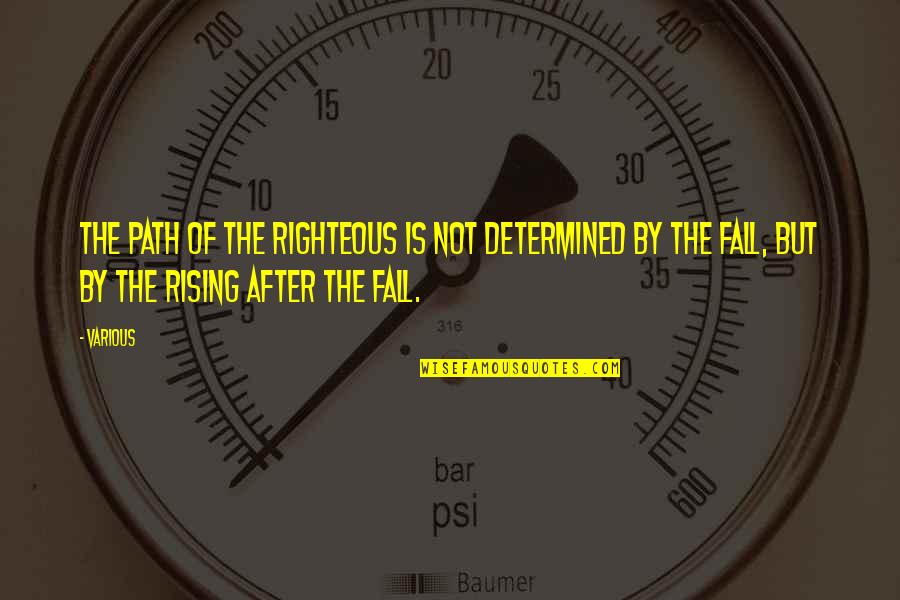 Rising From A Fall Quotes By Various: The path of the righteous is not determined