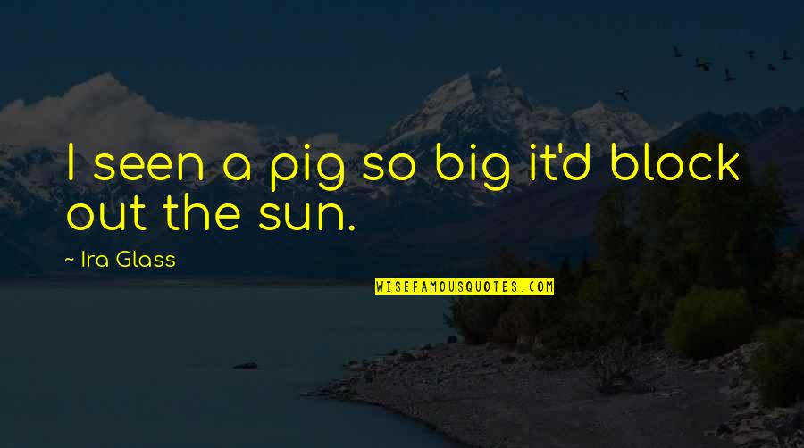 Rising From Downfall Quotes By Ira Glass: I seen a pig so big it'd block