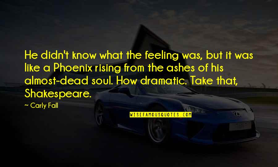 Rising From The Ashes Phoenix Quotes By Carly Fall: He didn't know what the feeling was, but