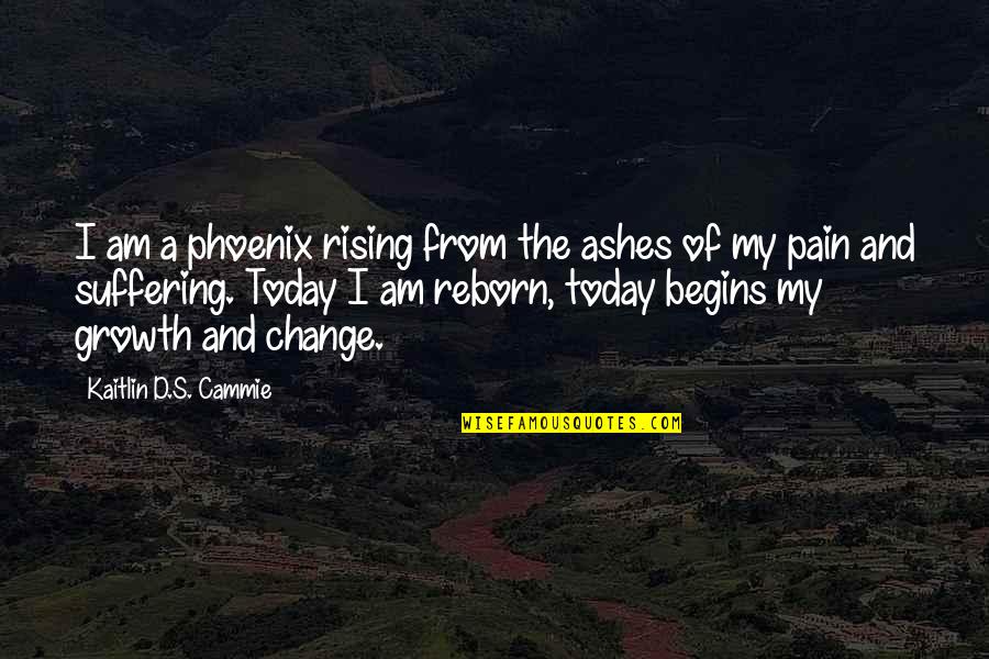 Rising From The Ashes Phoenix Quotes By Kaitlin D.S. Cammie: I am a phoenix rising from the ashes