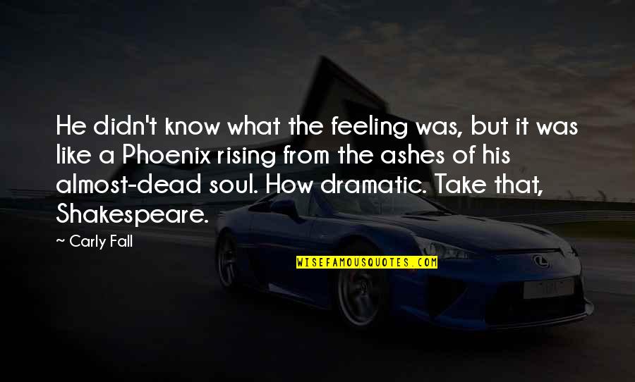 Rising Like A Phoenix Quotes By Carly Fall: He didn't know what the feeling was, but