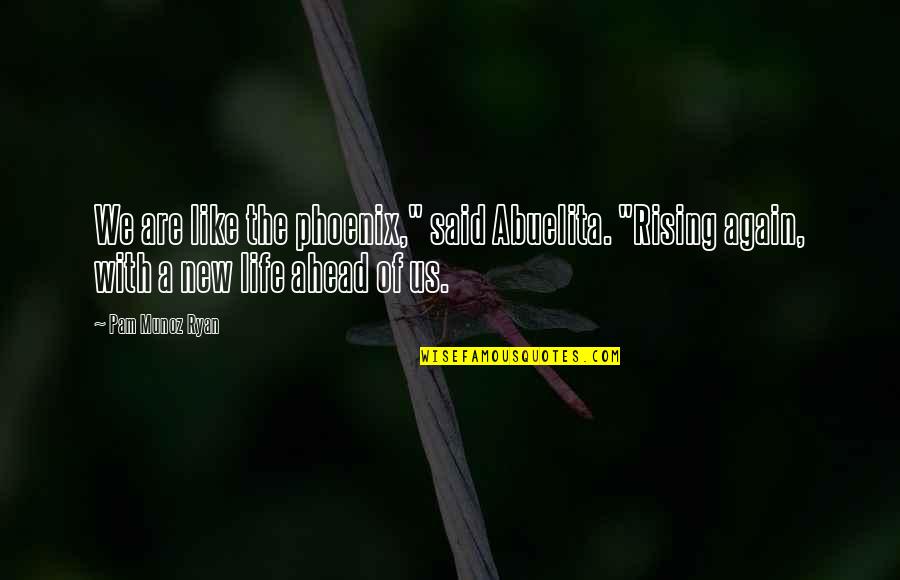 Rising Up In Life Quotes By Pam Munoz Ryan: We are like the phoenix," said Abuelita. "Rising Rising Up In Life Quotes By Pam Munoz Ryan: We are like the phoenix," said Abuelita. "Rising