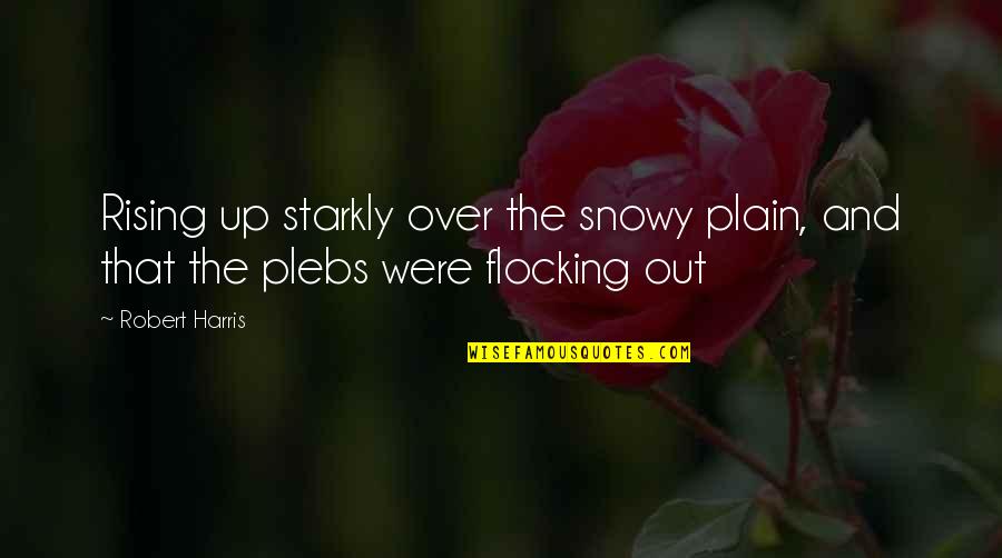 Rising Up Quotes By Robert Harris: Rising up starkly over the snowy plain, and