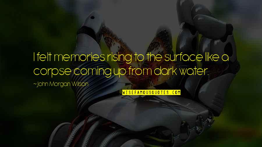 Rising Water Quotes By John Morgan Wilson: I felt memories rising to the surface like
