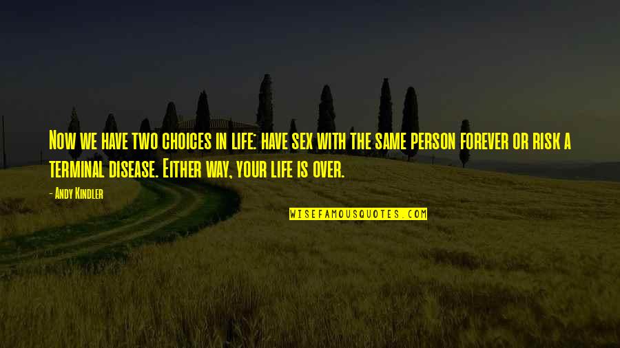 Risk In Life Quotes By Andy Kindler: Now we have two choices in life: have Risk In Life Quotes By Andy Kindler: Now we have two choices in life: have