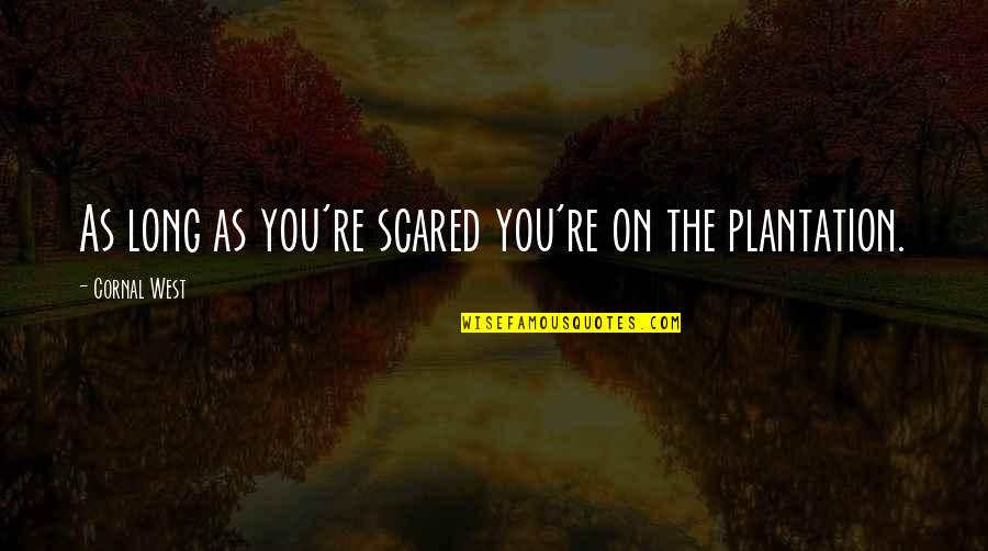 Risk Management Business Quotes By Cornal West: As long as you're scared you're on the