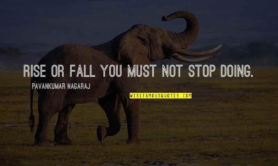 Risk The Fall Quotes By Pavankumar Nagaraj: Rise or Fall you must not stop doing.