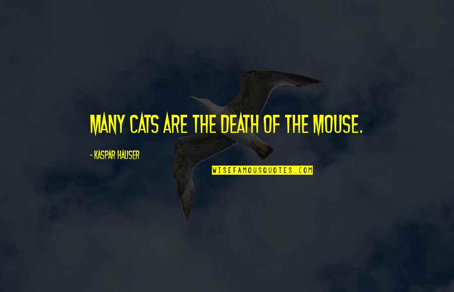 Risking Hurt For Love Quotes By Kaspar Hauser: Many cats are the death of the mouse.