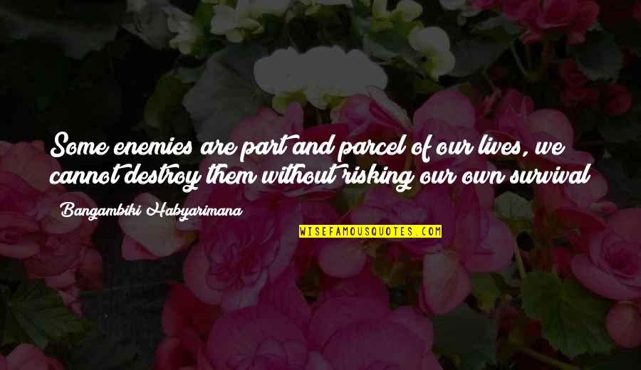 Risking Quotes By Bangambiki Habyarimana: Some enemies are part and parcel of our