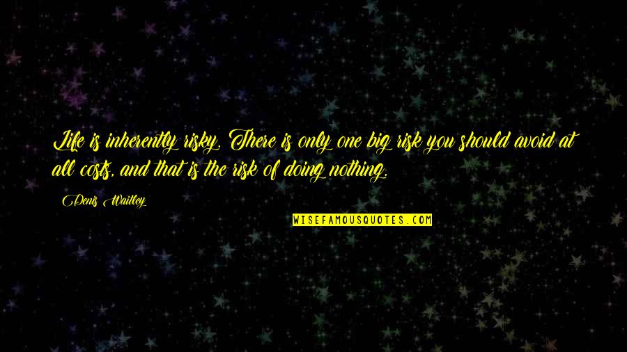 Risky Life Quotes By Denis Waitley: Life is inherently risky. There is only one