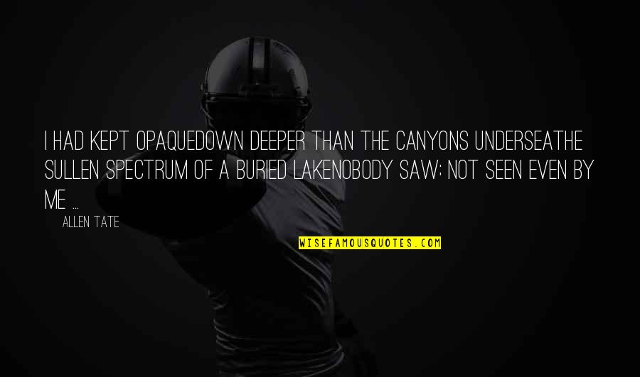 Rissberger Realm Quotes By Allen Tate: I had kept opaqueDown deeper than the canyons