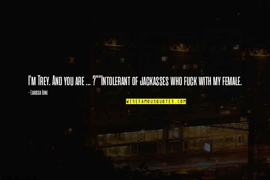 Rissler Masonry Quotes By Larissa Ione: I'm Trey. And you are ... ?""Intolerant of