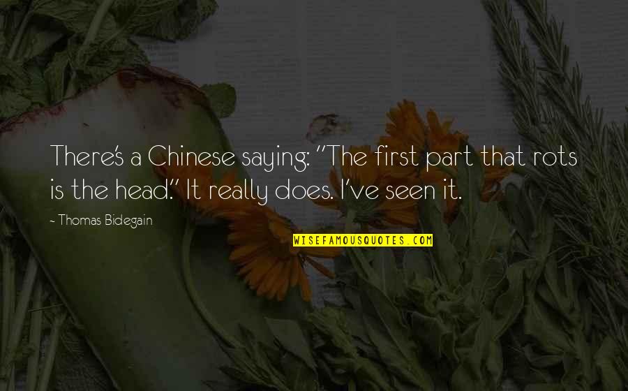 Ristourne Signification Quotes By Thomas Bidegain: There's a Chinese saying: "The first part that