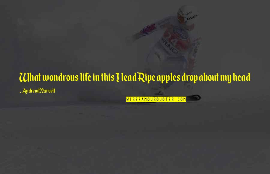 Rita Repulsa Character Quotes By Andrew Marvell: What wondrous life in this I leadRipe apples Rita Repulsa Character Quotes By Andrew Marvell: What wondrous life in this I leadRipe apples