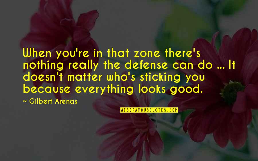 Ritapaco Quotes By Gilbert Arenas: When you're in that zone there's nothing really