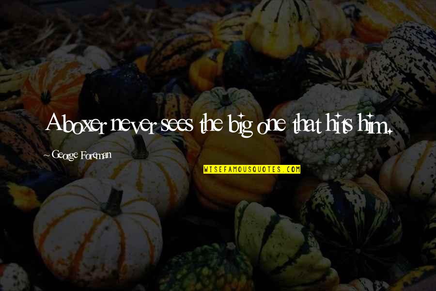 Ritmuri Cerebrale Quotes By George Foreman: A boxer never sees the big one that Ritmuri Cerebrale Quotes By George Foreman: A boxer never sees the big one that