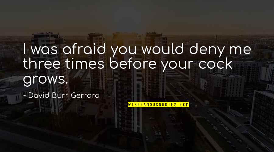 Rituais Indigenas Quotes By David Burr Gerrard: I was afraid you would deny me three Rituais Indigenas Quotes By David Burr Gerrard: I was afraid you would deny me three