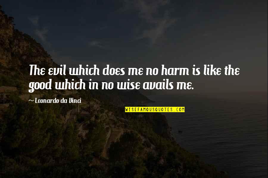 Ritualized Quartz Quotes By Leonardo Da Vinci: The evil which does me no harm is