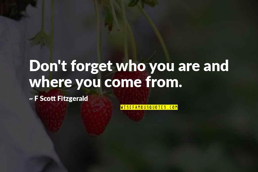 Ritunar Quotes By F Scott Fitzgerald: Don't forget who you are and where you Ritunar Quotes By F Scott Fitzgerald: Don't forget who you are and where you