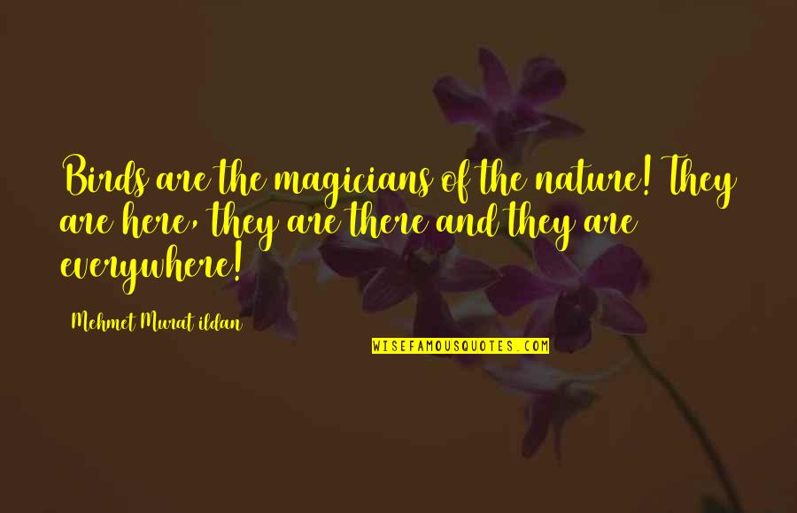 Ritzau Electrics Llc Quotes By Mehmet Murat Ildan: Birds are the magicians of the nature! They