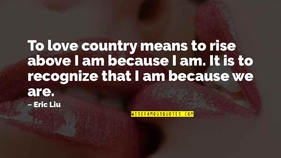Rivadavia Consulta Quotes By Eric Liu: To love country means to rise above I Rivadavia Consulta Quotes By Eric Liu: To love country means to rise above I