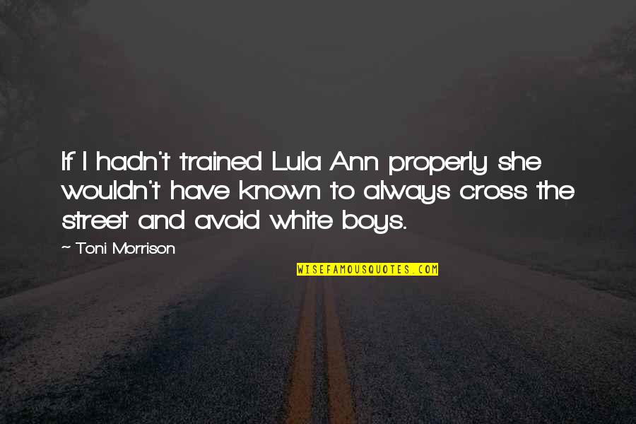 Rival Blue Quotes By Toni Morrison: If I hadn't trained Lula Ann properly she