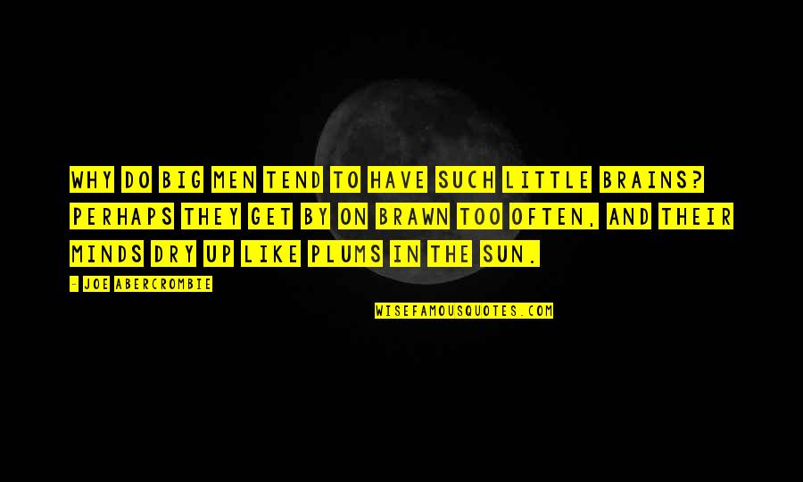 Rival Ink Quotes By Joe Abercrombie: Why do big men tend to have such