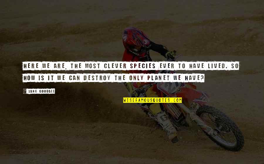 Rivaldo Back Quotes By Jane Goodall: Here we are, the most clever species ever Rivaldo Back Quotes By Jane Goodall: Here we are, the most clever species ever