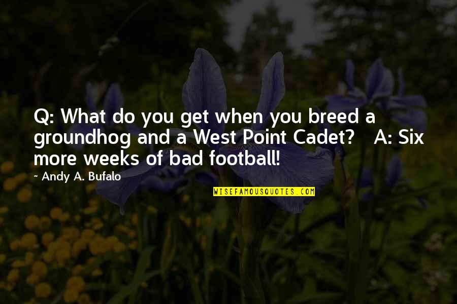 Rivalidad In English Quotes By Andy A. Bufalo: Q: What do you get when you breed