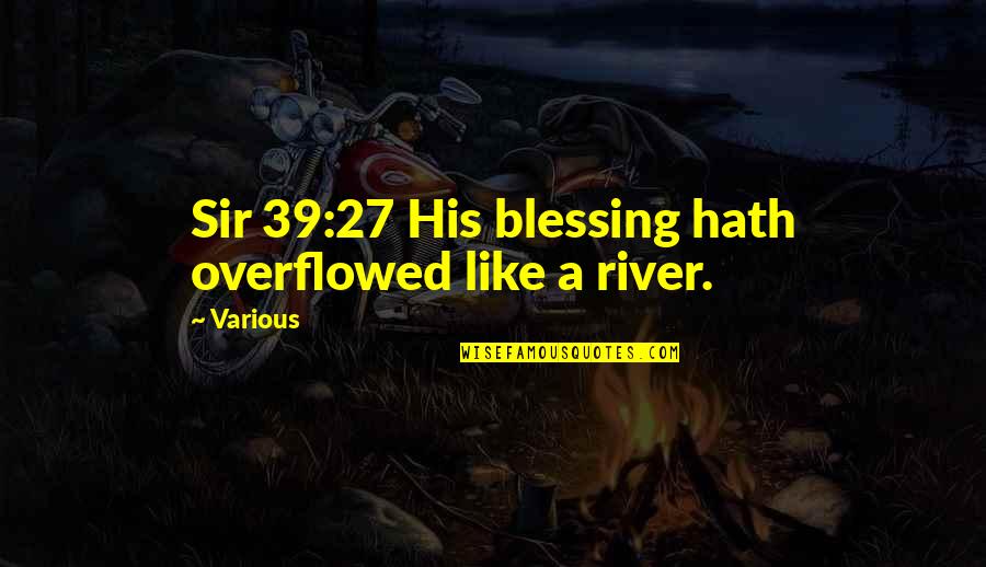 Rivarde Juvenile Quotes By Various: Sir 39:27 His blessing hath overflowed like a