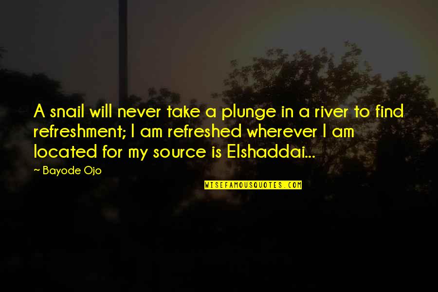 River Quotes By Bayode Ojo: A snail will never take a plunge in