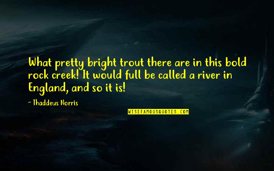 River Rocks With Quotes By Thaddeus Norris: What pretty bright trout there are in this