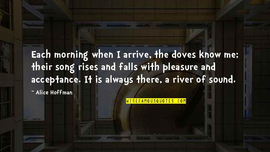 River The Song Quotes By Alice Hoffman: Each morning when I arrive, the doves know River The Song Quotes By Alice Hoffman: Each morning when I arrive, the doves know
