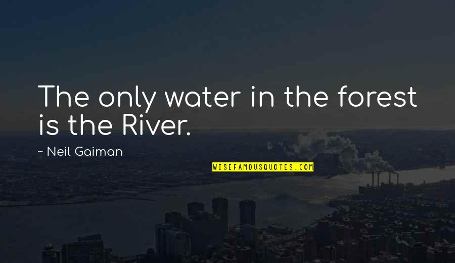 River Water Quotes By Neil Gaiman: The only water in the forest is the