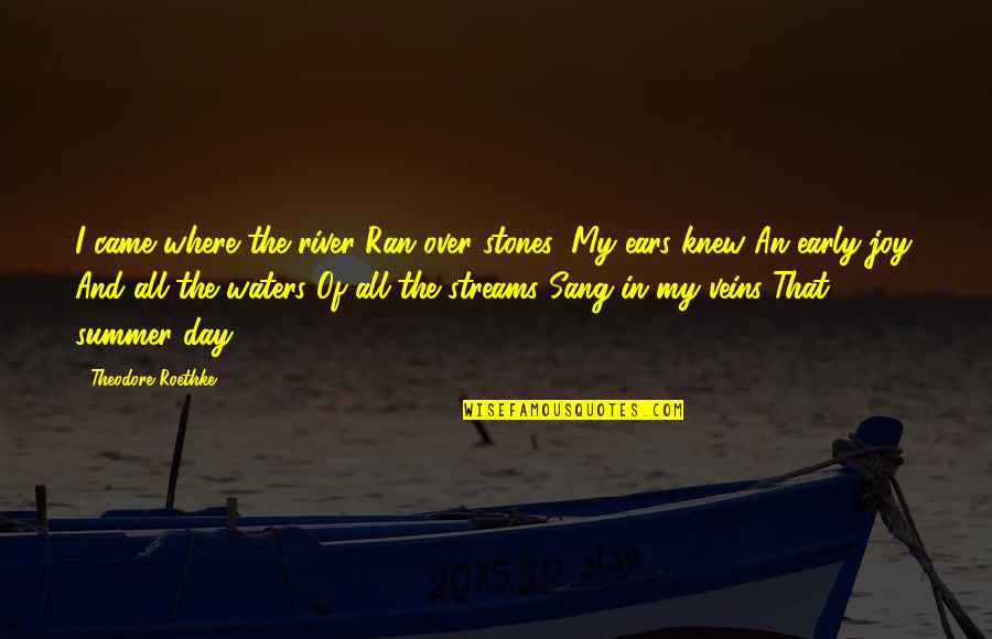 Rivers And Streams Quotes By Theodore Roethke: I came where the river Ran over stones;