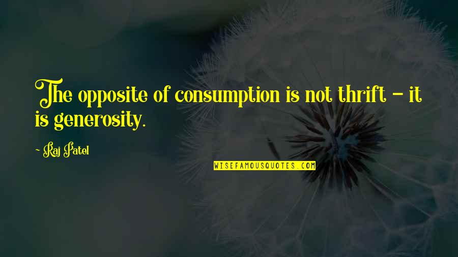 Rivers Bend Quotes By Raj Patel: The opposite of consumption is not thrift -