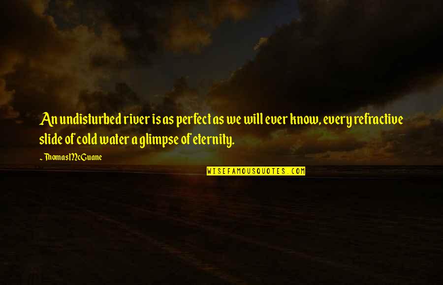 Rivers Know This Quotes By Thomas McGuane: An undisturbed river is as perfect as we